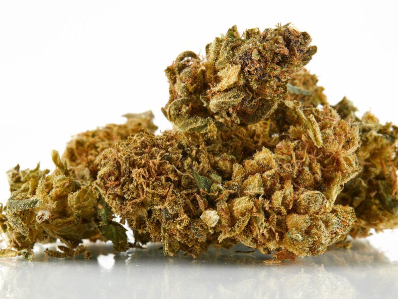 The Gelato Sundae Strain Experience Elevate Your High with a Dessert-Inspired Delight