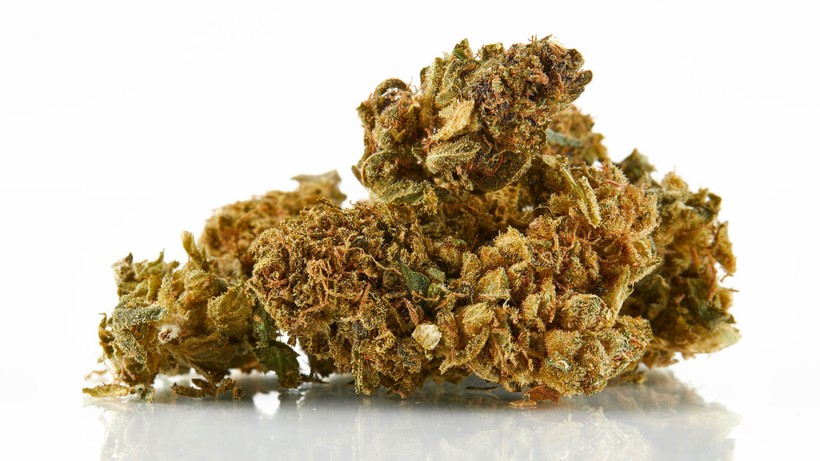 The Gelato Sundae Strain Experience Elevate Your High with a Dessert-Inspired Delight